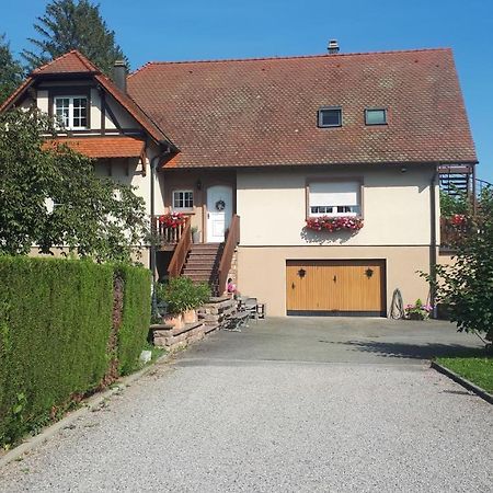 Gite "Le Platane" 45 M2 - Climatise Monswiller エクステリア 写真