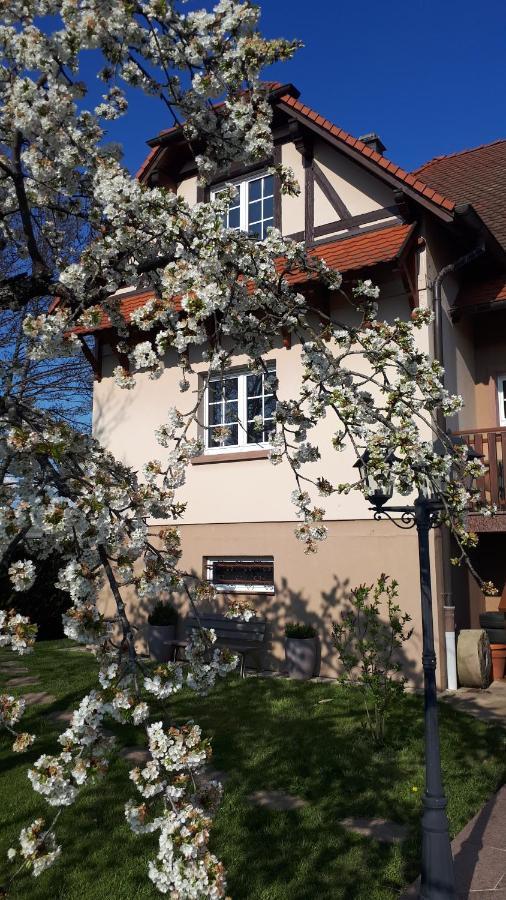 Gite "Le Platane" 45 M2 - Climatise Monswiller エクステリア 写真