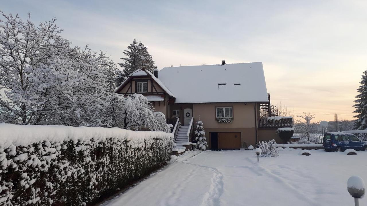 Gite "Le Platane" 45 M2 - Climatise Monswiller エクステリア 写真