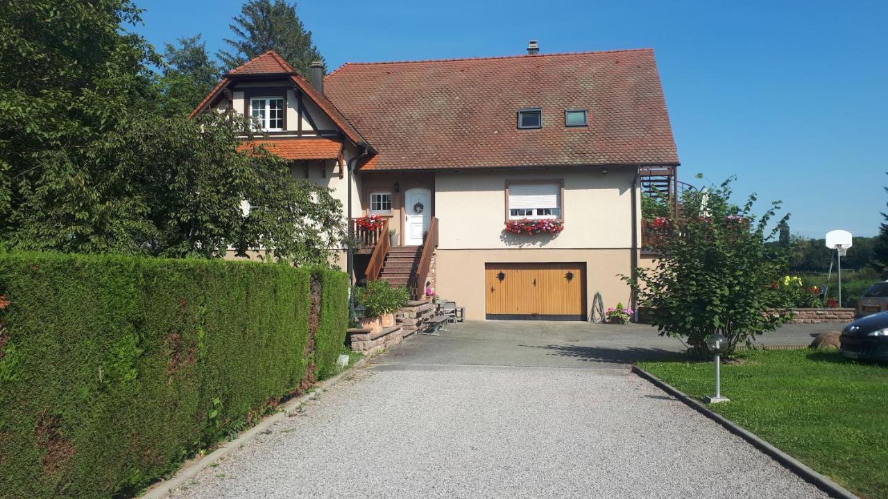 Gite "Le Platane" 45 M2 - Climatise Monswiller エクステリア 写真
