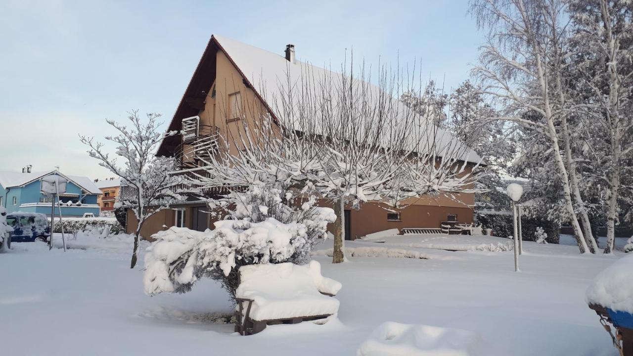 Gite "Le Platane" 45 M2 - Climatise Monswiller エクステリア 写真